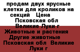 продам двух ярусные клетки для кроликов на 6 секций › Цена ­ 1 500 - Псковская обл., Великие Луки г. Животные и растения » Другие животные   . Псковская обл.,Великие Луки г.